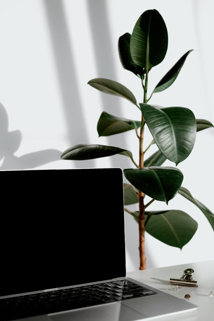 Dein Onepager für dein starkes Business